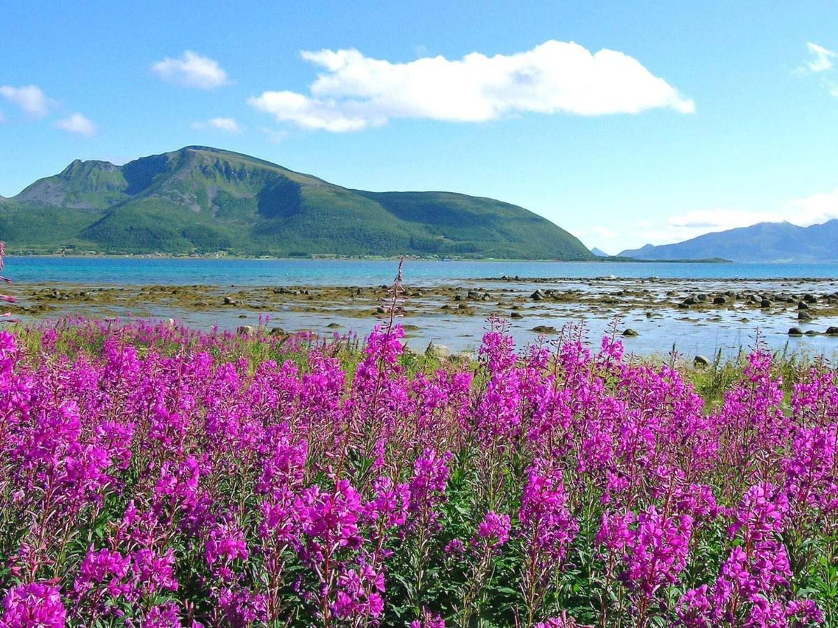 Holiday Home Sortland III エクステリア 写真