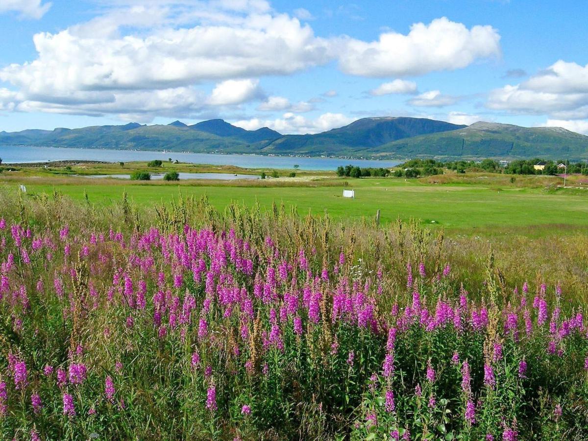 Holiday Home Sortland III エクステリア 写真