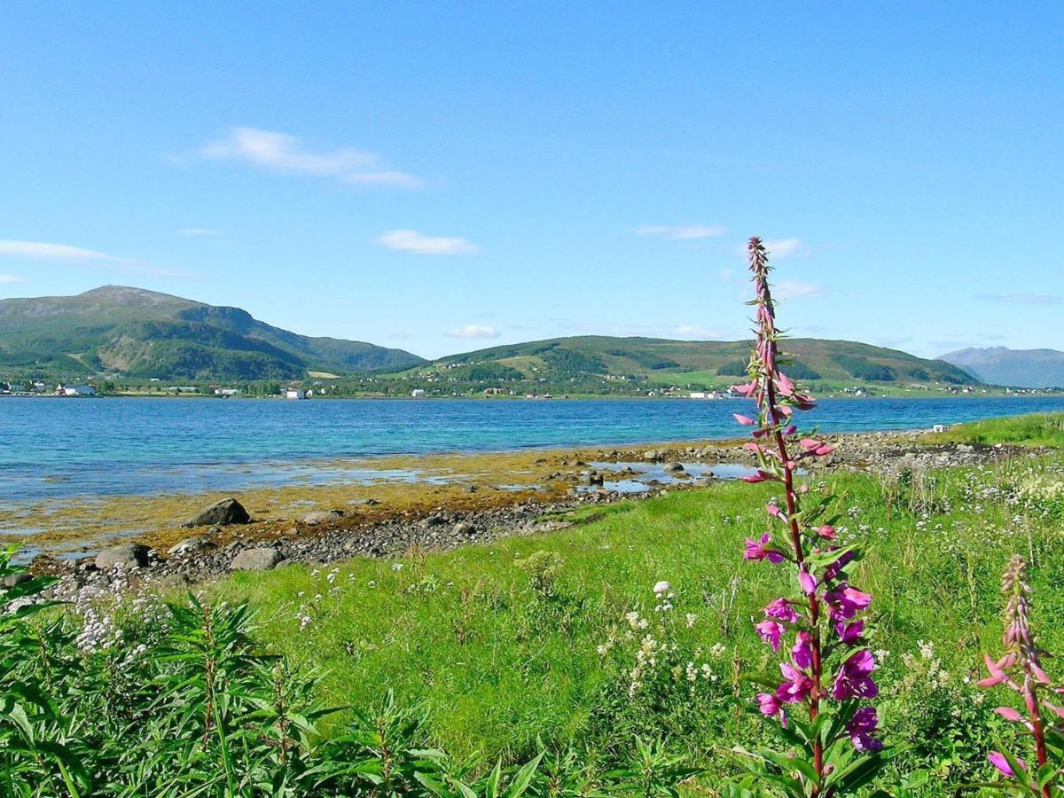 Holiday Home Sortland III エクステリア 写真